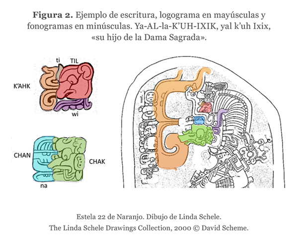 Figura 2