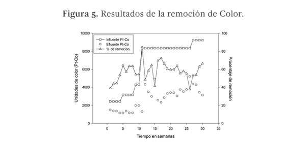 Figura 5. Resultados de la remoción de Color.