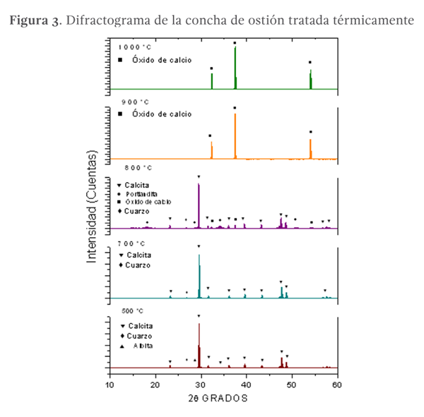 Figura 3. Difractograma de la concha de ostión tratada térmicamente.