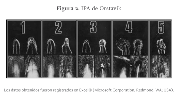 figura 2