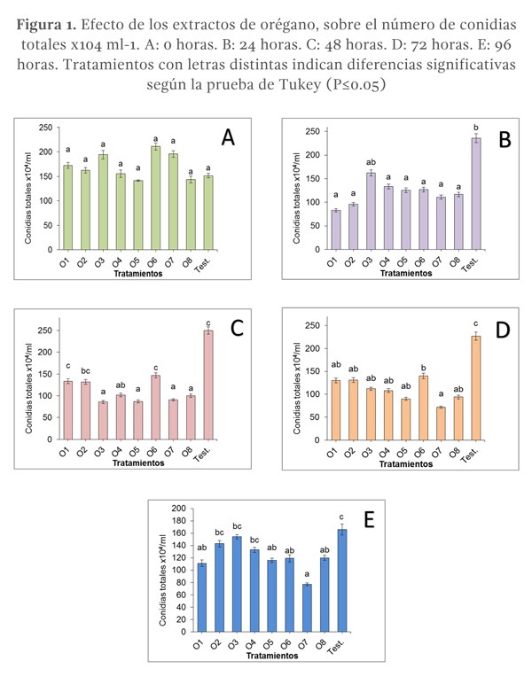 Figura: A-E: Efectos de los extractos de oregano