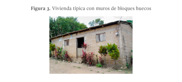 Figura 3. Vivienda típica con muros de bloques huecos.