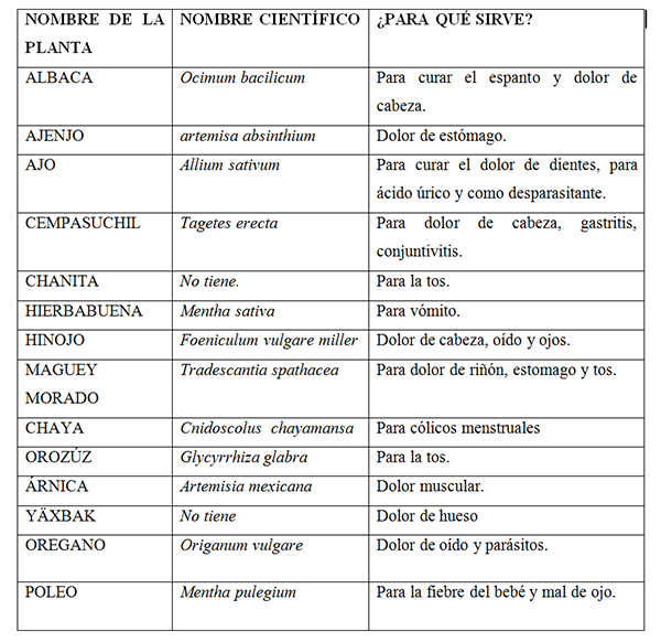 Registro de principales plantas encontradas en los traspatios de Amado Nervo municipio de Yajalón, Chiapas